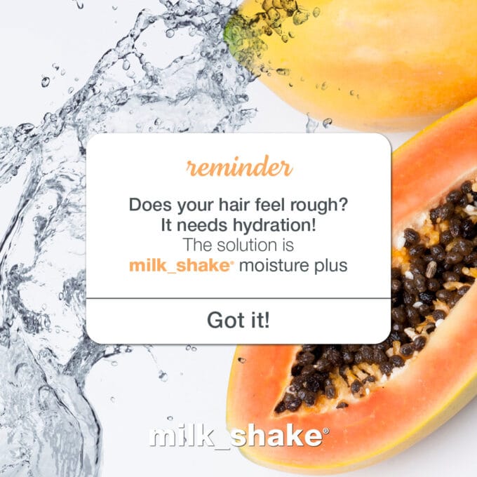 milk_shake Moisture Plus Shampoo 300ml Halo Hair & Skin - byutiluxe.com